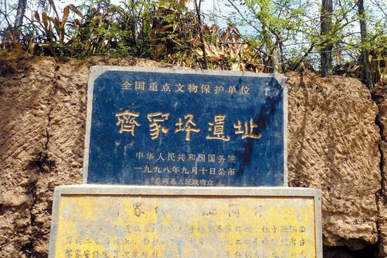 ȫ���ص����ﱣ����λ�����ƺ��ַ