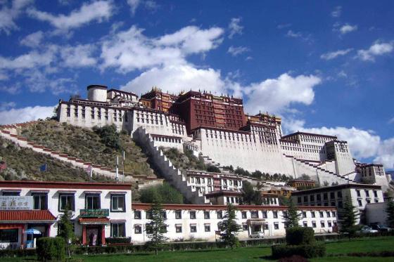 �й��������Ų�����������