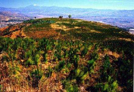 云南大理:巄屽图城遗址