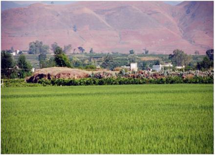 ���ϴ������������ַ