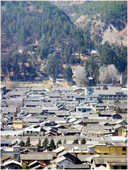 ���ϴ��������Ž���������Ž���Ⱥ