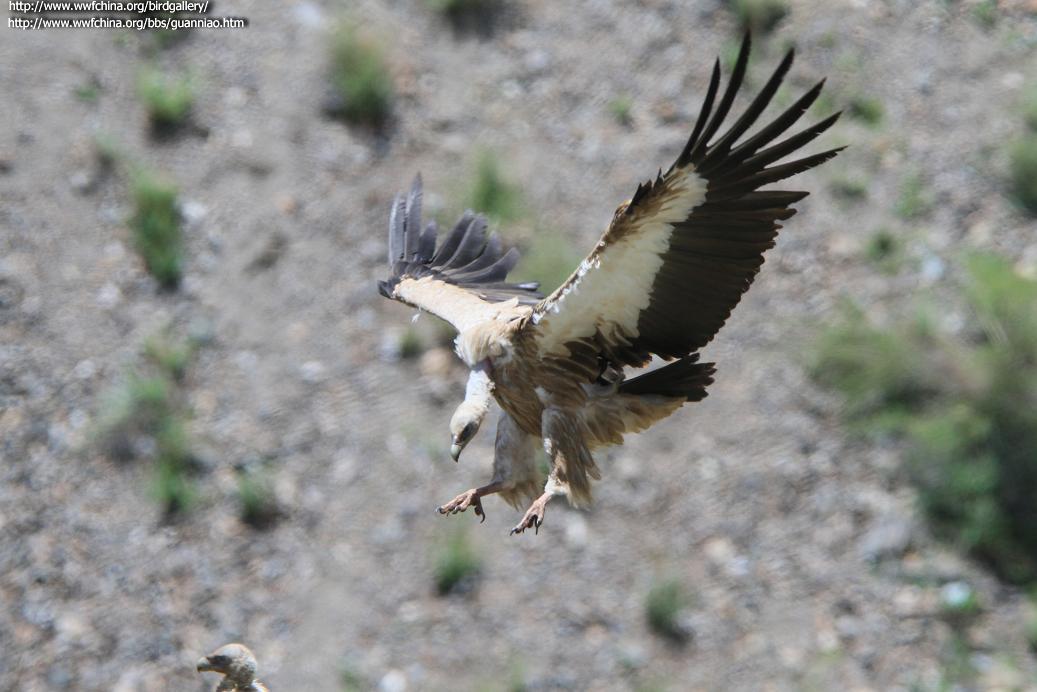 ��ɽأ�շ���ͼ