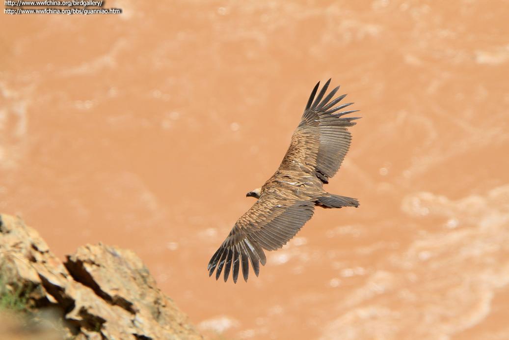 ��ɽأ�շ���ͼ