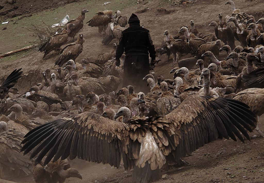 ����������ʽ�ϵĸ�ɽأ��