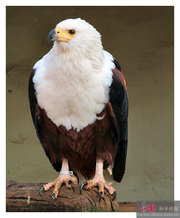 ���޺����ͼƬ