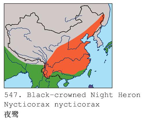 ҹ�ص����ֲ�ͼ