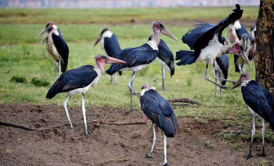 ����ͺ��