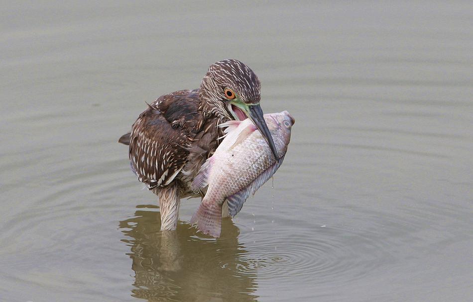 ҹ���ǳ�����Ӱalex��