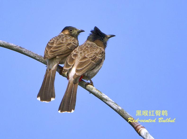 �ں������ǵ�ͼƬ