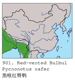 �ں�������