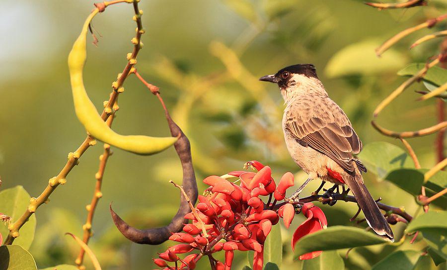 �ں�������