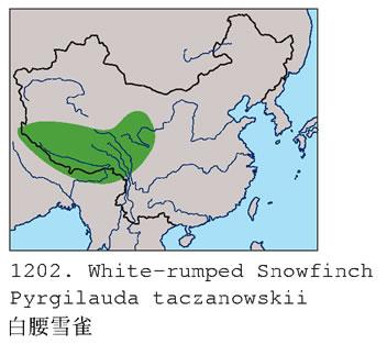 ����ѩȸ�������ֲ�ͼ