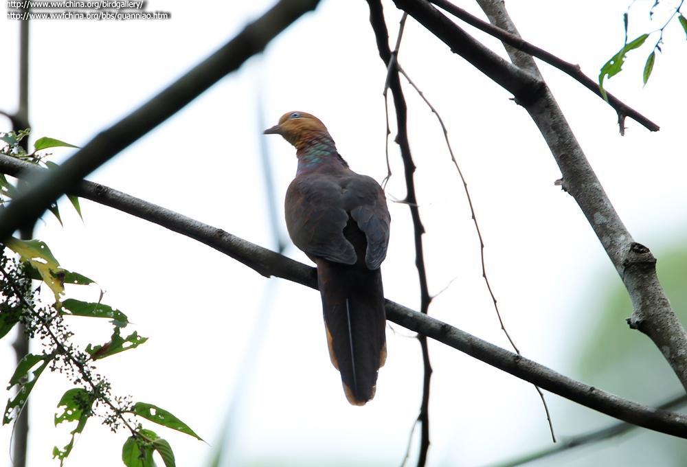 С��汎������������