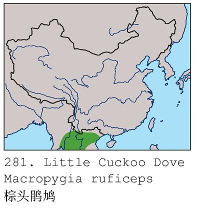 С��汎�����ֲ�ͼ