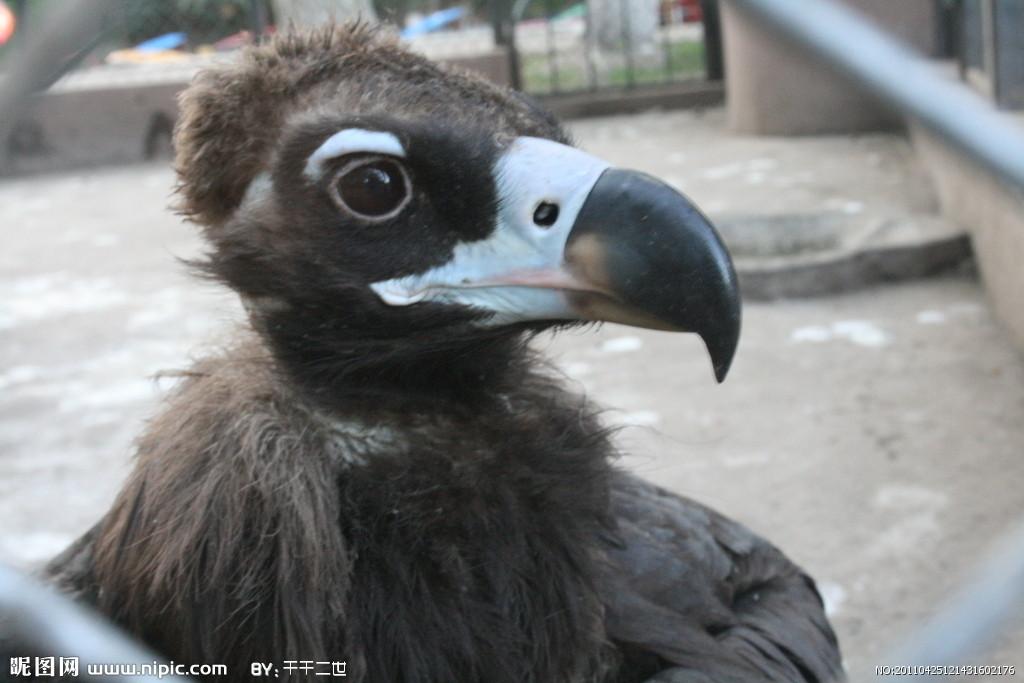 ͺ������