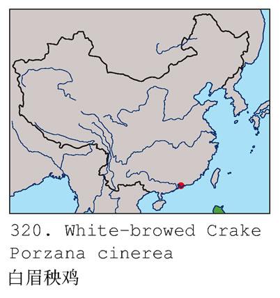 ��ü�Ｆ�������ֲ�ͼ