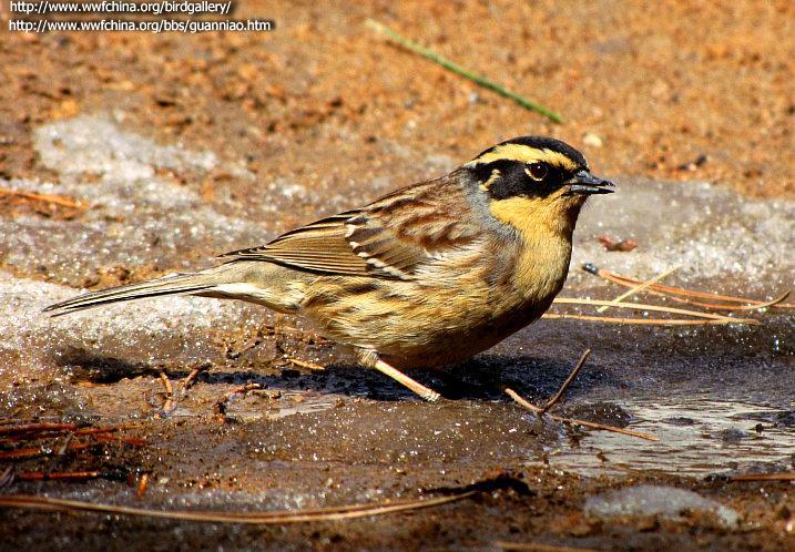 ��üɽ���ң���Ӱjmg22������ص㣺���ɹ� ������˹�����ٹ�԰������ʱ�䣺20100313����ע�������������ǳ��������е�����ݺ�����Եͳ�