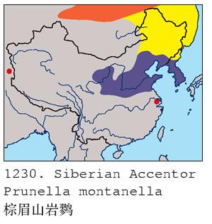 ��üɽ���ң������ֲ�ͼ