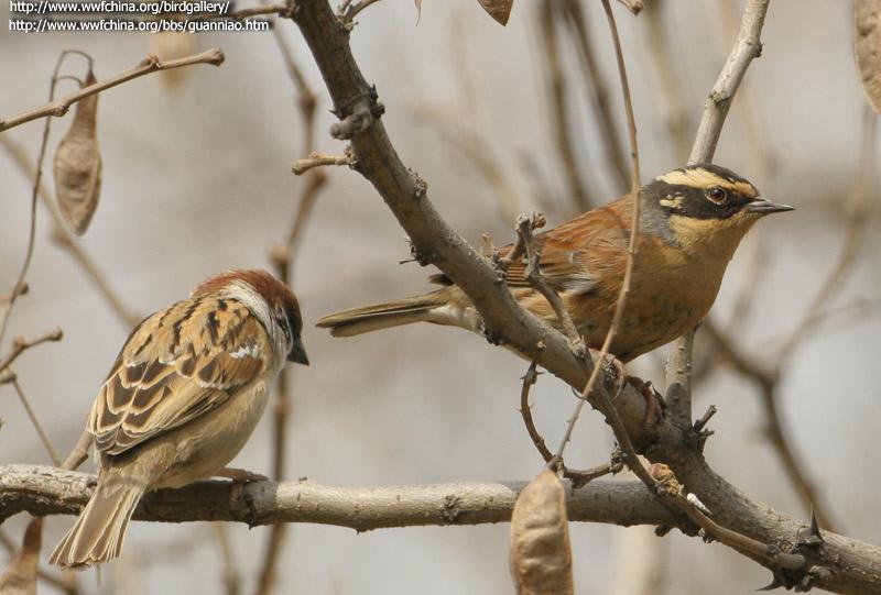 ��üɽ���ң���Ӱ����ׯׯ��������ص㣺ɽ��������ʱ�䣺20060317