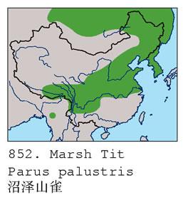 ����ɽȸ�������ֲ�ͼ