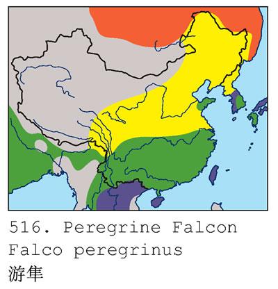 �����������ֲ�ͼ