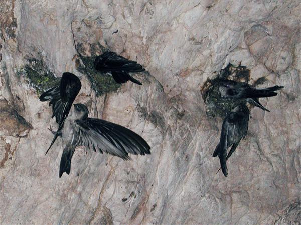 �����˿��