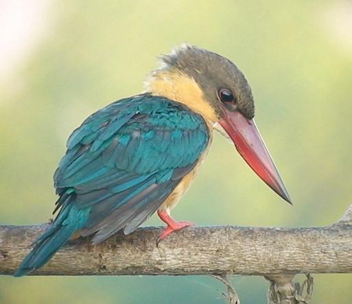 �������