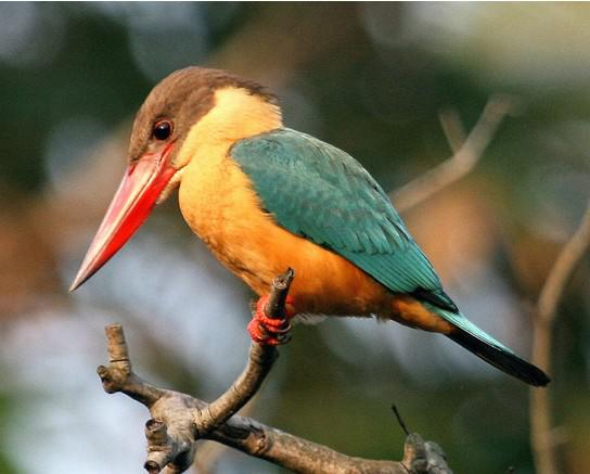 �������