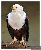 ���޺���