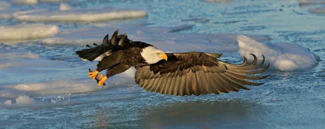 ��ͷ������