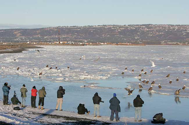 �������ڹ��Ͱ�ͷ����