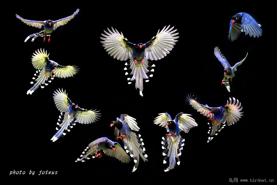 ̨����ȵ������̬ͼ����������joinus