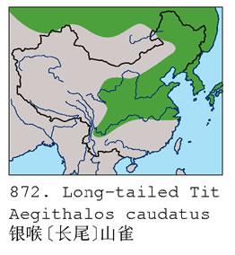 ������βɽȸ�������ֲ�ͼ