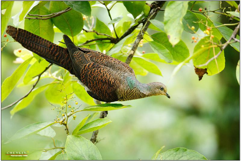 ��β����ͼƬ