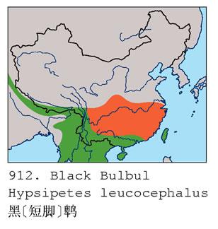 �ڶ̽��ǣ������ֲ�ͼ