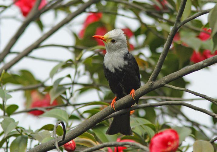 �ڶ̽��ǣ�������ͤ��