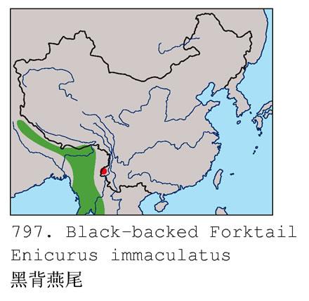 �ڱ���β�������ֲ�ͼ