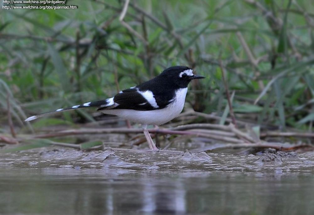 �ڱ���β����������