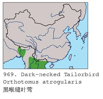 �ں���Ҷݺ�������ֲ�ͼ