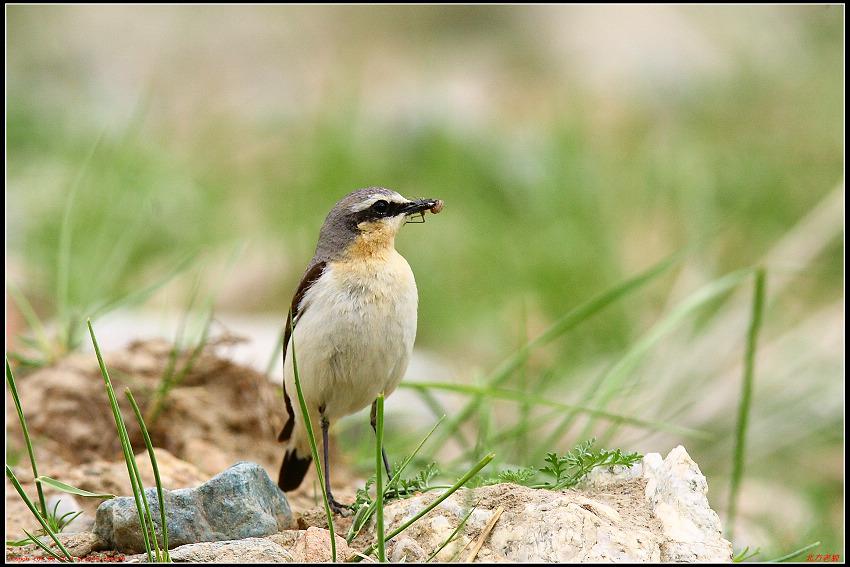 ���S������