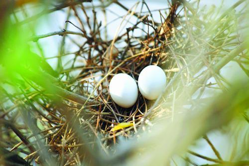 �龱��汎����