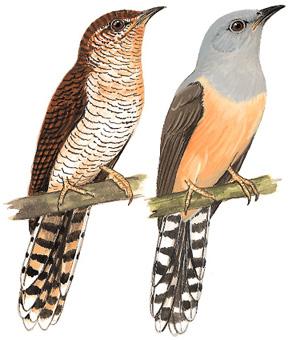 �����ž飺��Ϊ�ǳ���