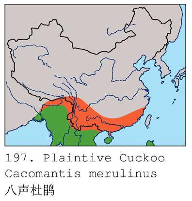 �����ž�