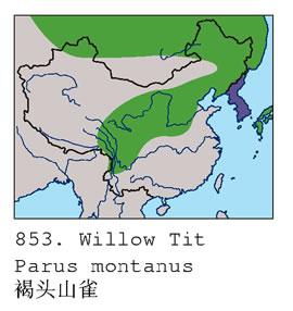 ��ͷɽȸ�������ֲ�ͼ