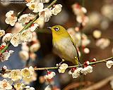 �Ҹ�������