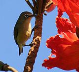 ��������������