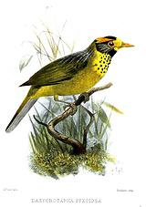 ٪������