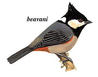 �ڹ�ɽȸ����̬����ͼ