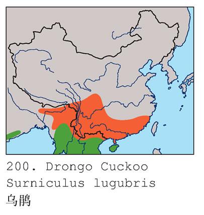 �ھ飺�����ֲ�ͼ