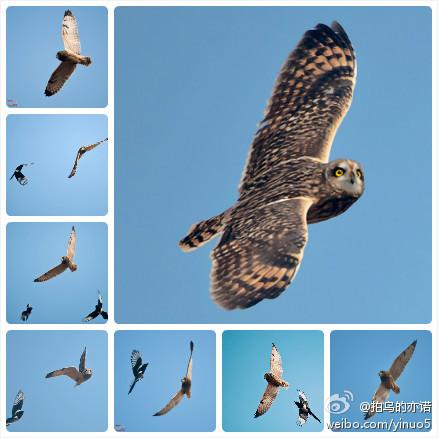 ��ϲȵ���ϵĶ̶��^������@�������ŵ